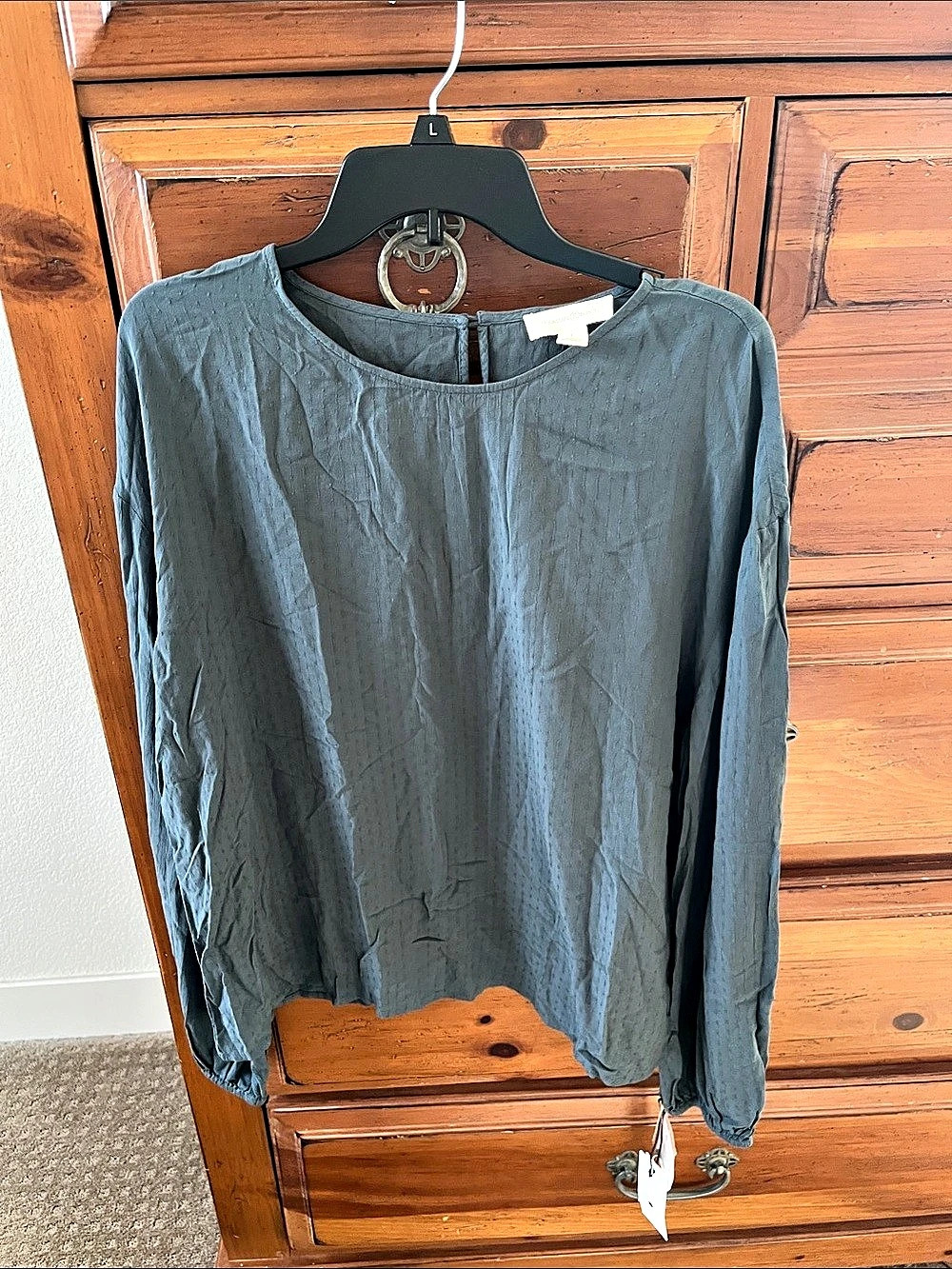 Treasure & Bond Long Sleeve Blouse in Blue Size Large NWT